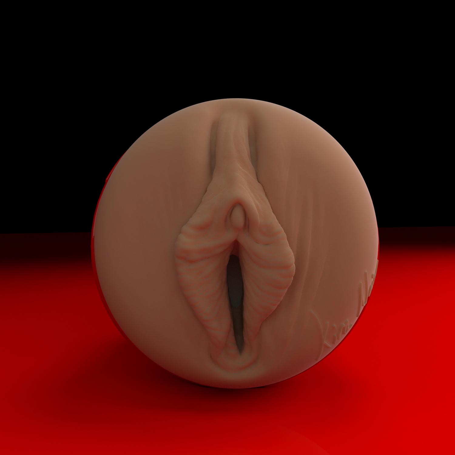 kira-noir-rickys-room-edition-stroker-fleshlight-8374518_60c9b342-6839-4fda-97b4-1032ed85df6a.jpg